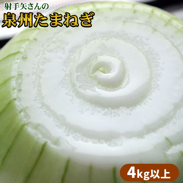 たまねぎ 名人 射手矢さんが作る絶品【泉州たまねぎ 9kg以上（20～40玉