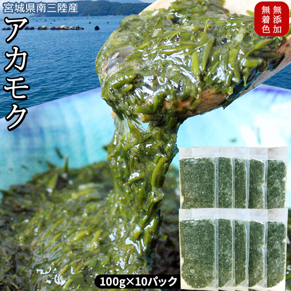 無添加 無着色 宮城県 【アカモク (ぎばさ) 100g×10パック】 送料無料 南三陸産 海藻 ギバサ あかもく[※冷凍便][※他商品と同梱不可]