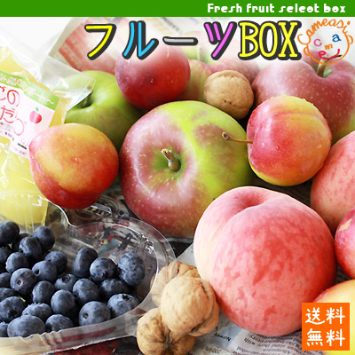 フルーツ 詰め合わせ セット 【農家お任せ旬のフルーツBOX】≪送料無料≫
