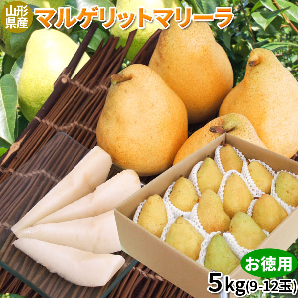 【山形県産西洋梨 マルゲリットマリーラ 5kg】 送料無料 お徳用(9-12玉入り)　1玉350g以上 ラフランスよりも大玉で果汁が豊富！いち早く楽しめる爽やかな洋ナシ。たっぷり5kg♪