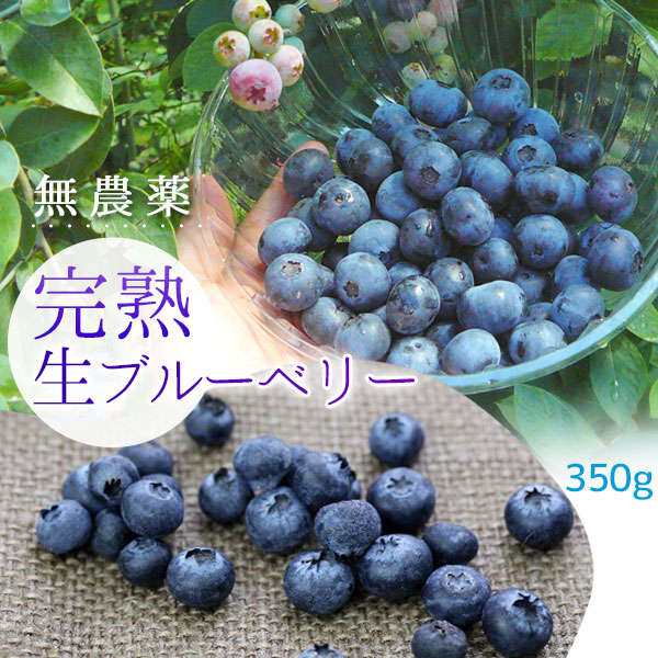 ブルーベリー 生 フレッシュ 送料無料 【青森県産ブルーベリー ＬＭ混合350g】もぎたて発送！暑い夏だからこそ食べたい、のどを潤す爽やかな甘さ！ [※冷蔵便][※同梱不可]