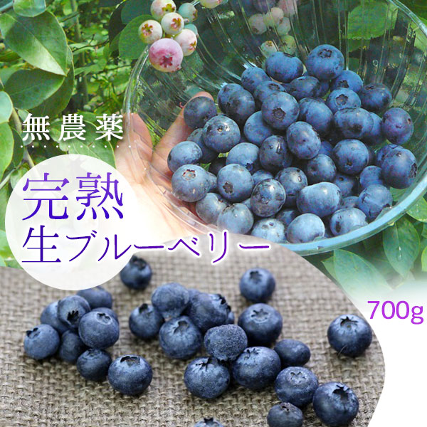 ブルーベリー 生 フレッシュ 送料無料 【青森県産ブルーベリー ＬＭ混合700g（350g×2）】もぎたて発送！暑い夏だからこそ食べたい、のどを潤す爽やかな甘さ！ [※冷蔵便][※同梱不可]