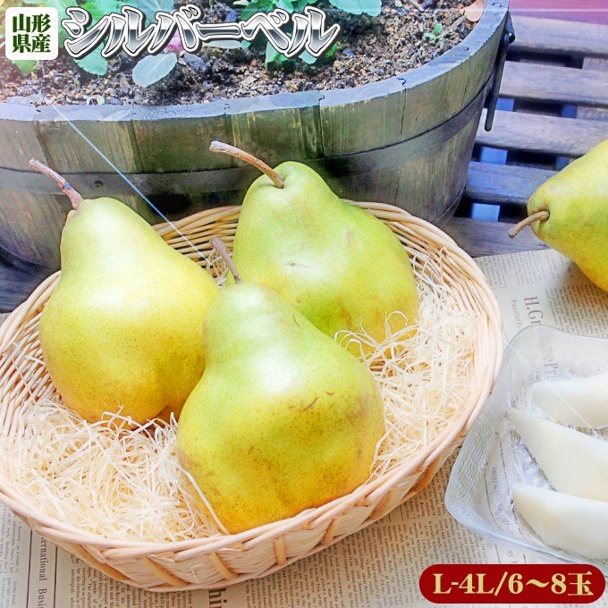 西洋梨 送料無料 数量限定【山形県産 西洋梨 シルバーベル 3kg】6-10玉(L-4L) ラフランス の姉妹 クリスマス [※産地直送品のため同梱不可]