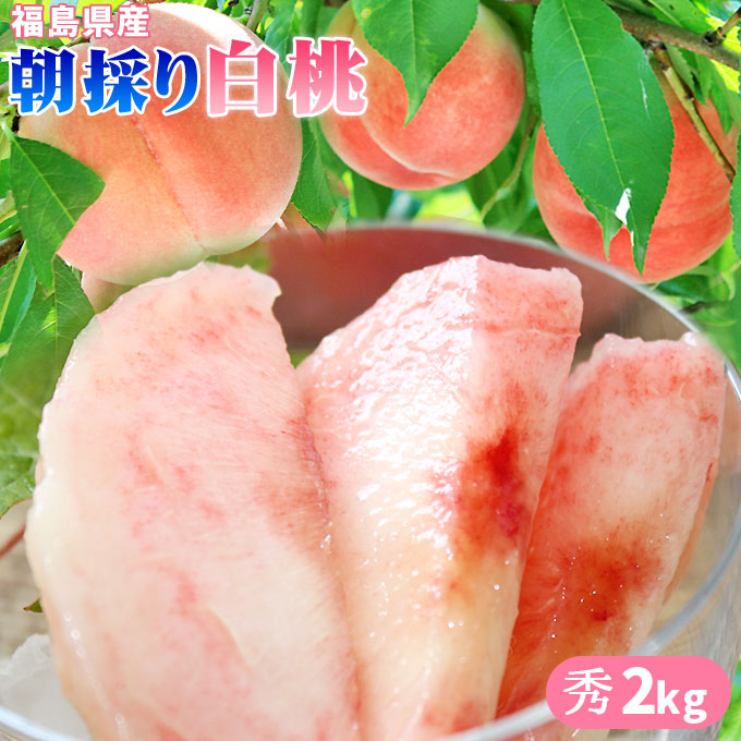 朝採り新鮮 白桃 送料無料 贈答用 秀品 新鮮便！【福島県産 白桃 秀 2kg】（6～8玉） お中元 ギフト 白桃 もも モモ [※常温便][※同梱不可]