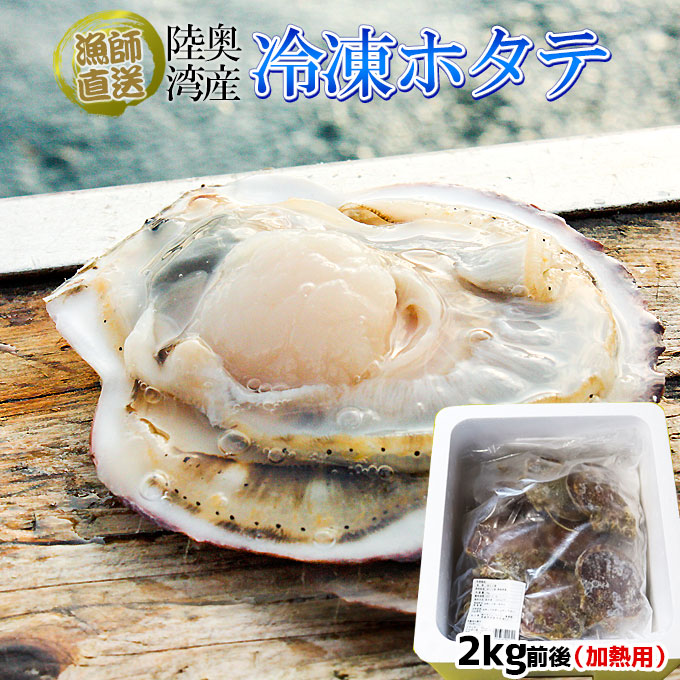 ほたて  活きたまま冷凍 青森陸奥湾 【耳吊り 冷凍ホタテ 2kg前後14-16枚】（1kg×2袋）送料無料 漁師直送便！ ホタテ 殻付き バター焼き BBQ などご堪能あれ [※冷凍便][※産地直送のため同梱不可] かめあし商店