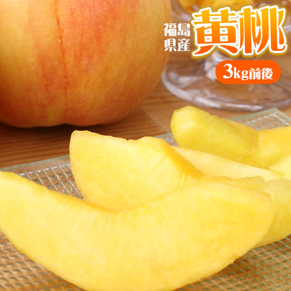 本場の 黄桃 贈答用 秀品 送料無料【福島県産 黄桃 3kg前後】（9-13玉） エコファーマー ふくしま土壌ネットワーク 桃の会 農家直送 献上桃 フルーツ もも モモ ピーチ ギフト 黄金桃 黄貴妃 黄ららのきわみ  [産地直送のため同梱不可]
