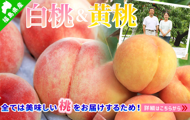 青森りんご 嶽きみ 産地直送 通販専門店 かめあし商店におまかせ