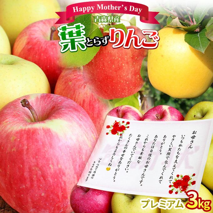 母の日 フルーツ ギフト りんご ＼感謝状付き／ 健康をプレゼント 本場青森【葉とらずりんご 有袋ふじ＋シナノゴールド 3kg プレミアム】(8-10玉) 送料無料 母の日 フルーツ リンゴ 林檎 アップル 青森りんご [※産地直送のため同梱不可][※冷蔵便]「GOLD」