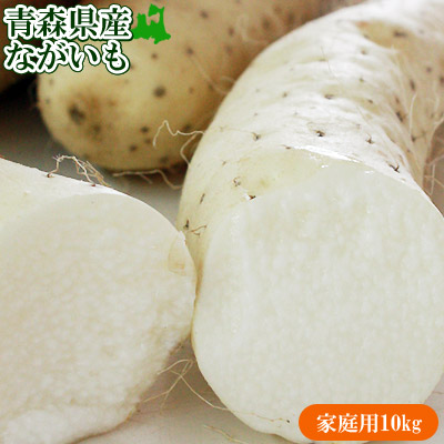 長芋 訳あり 送料無料 青森県 東北町 七戸町産 【青森県産ながいも家庭用10kg】(13-24本前後) 変形・コブ・多少の傷があるけど味は絶品 JAゆうき青森 から「おなごぶりいい」美白ながいも [※常温便/産地直送のため同梱不可]