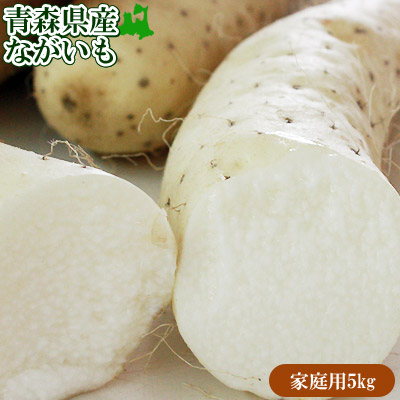 長芋 訳あり 送料無料 青森県 東北町 七戸町産 【青森県産ながいも家庭用5kg】  (7-12本前後) 変形・コブ・多少の傷があるけど味は絶品 JAゆうき青森 から「おなごぶりいい」美白ながいも  [※常温便/産地直送のため同梱不可]