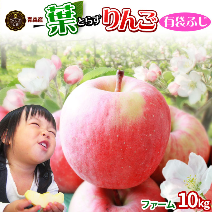 葉っぱの影は甘さのサイン【葉とらずりんご ふじ（有袋）ファーム10kg】家庭用(26-46玉) 青森産 リンゴ 林檎 アップル 訳あり 青森りんご  [※産地直送品同梱不可][冷蔵便]