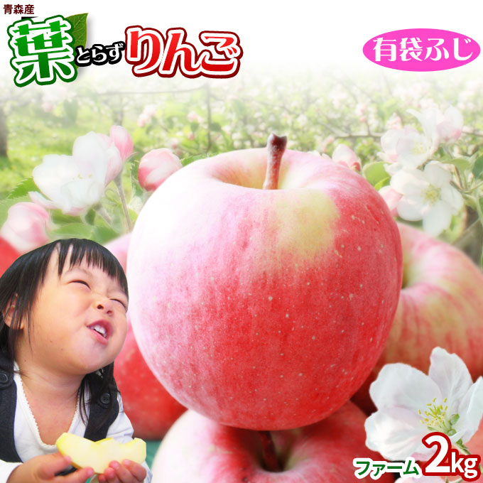 葉っぱの影は甘さのサイン 【葉とらずりんご ふじ（有袋）ファーム2kg】家庭用(5-9玉) 青森産 リンゴ 林檎 アップル 訳あり 青森りんご [※産地直送品同梱不可][冷蔵便]