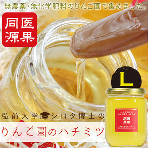 【シロタ博士のりんご園のハチミツ L】(300g 化粧箱入り)国産 無農薬 はちみつ 医果同源 プレミアム[※SP][※常温便][※当店他商品との同梱可]