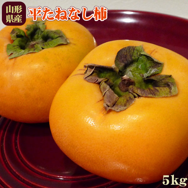 庄内柿 送料無料 種無し柿 山形県産 【庄内平たねなし柿 5kg（24～30玉）】≪送料無料≫ [※産地直送のため同梱不可][※常温便]