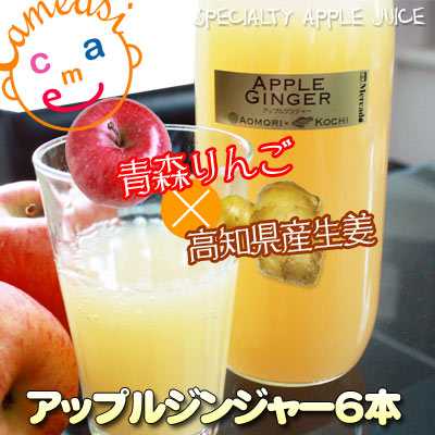 生姜入りんごジュース 【アップルジンジャー1000ml×6本】青森県産りんごと高知県産しょうががピリリと大人味♪[※SP]
