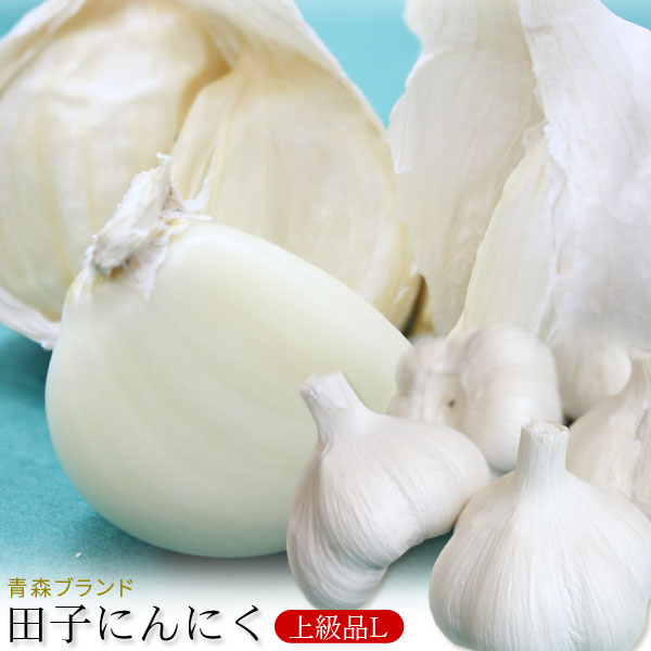 青森県産 田子 にんにく 上級品Ｌサイズ 送料無料 2025年度産 【田子町産にんにく BL】(14-16玉) 青森県が誇るブランド産地田子町から、産地直送でお届けします！ [※常温便][※当店他商品との同梱不可]
