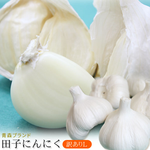 青森県産 田子 にんにく 訳あり Ｌサイズ 送料無料 2025年度産【田子町産にんにく CＬ】(14-16玉)青森県が誇るブランド産地田子町から、産地直送でお届けします！ [※常温便][※当店他商品との同梱不可]
