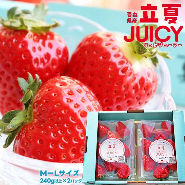朝採り 完熟 いちご 【青森県産いちご 立夏JUICY 240g以上×2パック】M-Lサイズ 産地直送 いわきとそら農園 夏限定 イチゴ 苺 ギフト お中元[※冷蔵便]