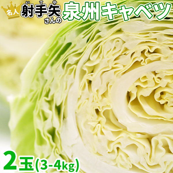 冬限定 キャベツ 送料無料 芯まで甘い究極の【泉州キャベツ2玉（3～4kg）】煮込むと芯の繊維までとろとろ♪ [産地直送の為当店他商品と同梱不可]