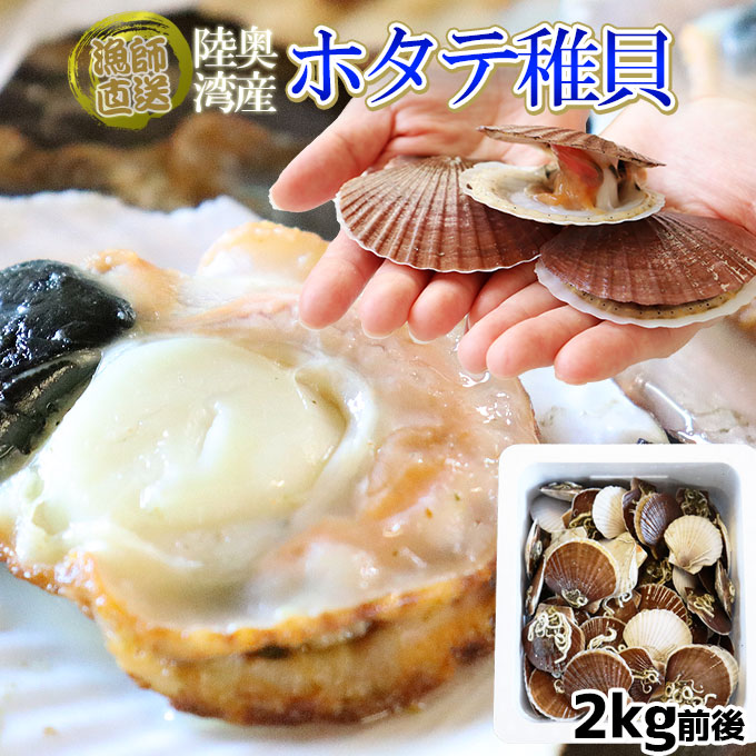 ほたて 活稚貝 送料無料 青森陸奥湾 【ホタテ稚貝 2kg前後 40-90枚】料理に万能なホタテの赤ちゃん! ホタテ みそ汁 炊き込みご飯 シーフード カレー パスタ など大活躍 刺し身 でも絶品 ベビーホタテ [※冷蔵便][※産地直送のため同梱不可]