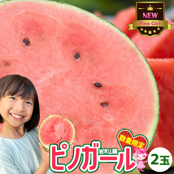 小玉スイカ 送料無料 【青森県産 小玉すいか ピノガール 2玉】 ご家庭用規格 種ごと食べられる マイクロシード  川村農園 スイカ すいか 訳あり 西瓜 [※同梱不可][※配送指定不可・ご予約順の発送]