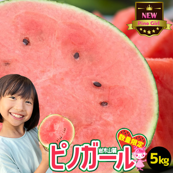 小玉スイカ 送料無料 【青森県産 小玉すいか ピノガール 5kg以上】 (4～6玉) ご家庭用規格  種ごと食べられる マイクロシード 野菜ソムリエ の川村農園から直送 岩木山 スイカ すいか 訳あり 西瓜 まとめ買い[※同梱不可][※配送指定不可・ご予約順の発送]