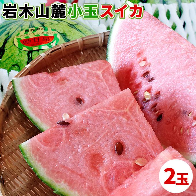 小玉スイカ 送料無料 【青森県産 小玉すいか 2玉】 ご家庭用規格 姫甘泉 野菜ソムリエ の川村農園から直送 岩木山 スイカ すいか 訳あり 西瓜 [※同梱不可][※配送指定不可・ご予約順の発送]