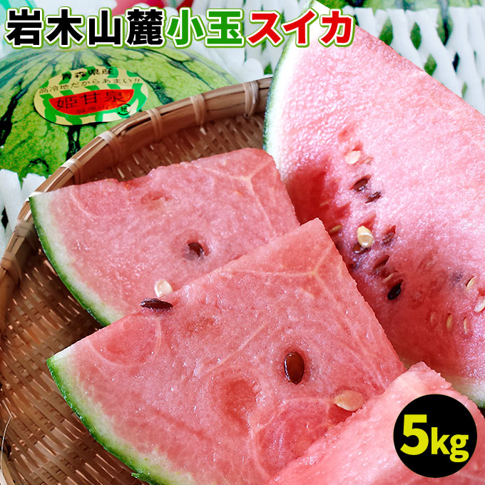 小玉スイカ 送料無料 メガ盛り 【青森県産 小玉すいか 5kg以上】 4～6玉 ご家庭用規格 姫甘泉 野菜ソムリエ の川村農園から直送 岩木山 スイカ すいか 訳あり 西瓜 [※同梱不可][※配送指定不可・ご予約順の発送]