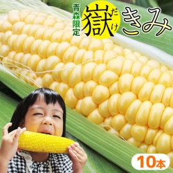 極みの極甘 とうもろこし 嶽きみ 送料無料 青森県が誇るブランド【とうもろこし 嶽きみ10本】 トウモロコシ だけきみ  [※品種指定不可][※産地直送のため同梱不可][※冷蔵便]
