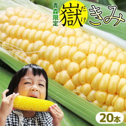 極みの極甘 とうもろこし 嶽きみ 送料無料 お得な20本メガセット 青森県が誇るブランド【とうもろこし 嶽きみ20本】 トウモロコシ だけきみ [※品種指定不可][※産地直送のため同梱不可][※冷蔵便]