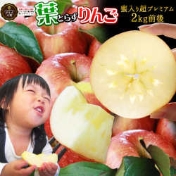 葉っぱの影は甘さのサイン 完全蜜入り保証 【蜜入り 葉とらずりんご ふじ2kg前後 超プレミアム】 贈答用(5-7玉) 本場青森 GOLD農園 送料無料 サンふじ お歳暮 ギフト りんご リンゴ 林檎 アップル 青森りんご [※産地直送のため同梱不可]「GOLD」