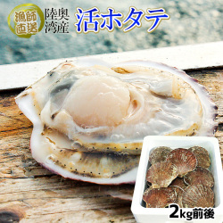 ほたて 活貝 送料無料 青森陸奥湾 【耳吊り ホタテ 3kg前後21-30枚】鮮度が命の漁師直送便！ ホタテ 殻付き 貝焼き味噌 刺し身 などご堪能あれ  [※冷蔵便][※産地直送のため同梱不可]