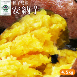 種子島産 【安納芋 4.5kg以上】(大・中・小混合サイズ15-5本) 送料無料 蜜芋  [※他商品との同梱不可][※常温便]