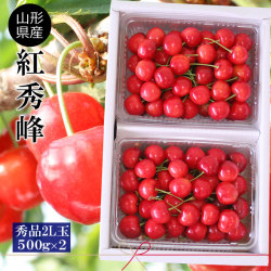 さくらんぼ お中元【山形県産 さくらんぼ 紅秀峰 秀品2Ｌ玉 500ｇ×2Ｐバラ詰め】露地栽培 本場山形県から朝採りを即日直送 サクランボ [※クール便配送][※配送指定不可][※産地直送・同梱不可]