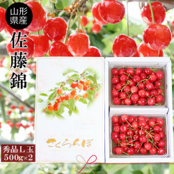 さくらんぼ 佐藤錦 送料無料 お中元 【山形県産 さくらんぼ 佐藤錦 秀L 500g×2バラ詰】本場山形県から朝摘み佐藤錦を産地直送！そのプリプリ感と輝く赤は、まさに樹になるルビー サクランボ [※クール便配送][※産地直送・同梱不可]