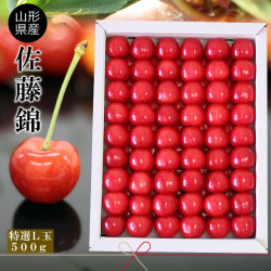 さくらんぼ 送料無料 お中元 【山形県産 さくらんぼ 佐藤錦 特選L 500g化粧詰】最高級の厳選プレミアム佐藤錦！本場山形県から朝摘み佐藤錦を産地直送！そのプリプリ感と輝く赤は、まさに樹になるルビー サクランボ [※クール便][※産地直送・同梱不可]