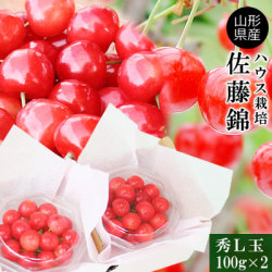 山形 さくらんぼ 佐藤錦 【ハウスさくらんぼ100g×2P 秀Ｌ】赤くツヤツヤの佐藤錦を本場山形から直送！[※常温便][※配送指定不可][※産地直送・同梱不可]