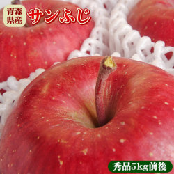 りんご ふじ 送料無料 贈答用 【青森県産りんご サンふじ秀品5kg前後】14-18玉入 青森 りんご リンゴ フジ [※常温便][※産地直送]
