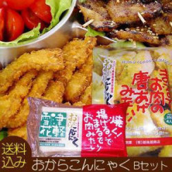 まるでお肉みたい 【おからこんにゃくB】揚げる！で、まるでお肉みたい♪さぁ、始めよう！ヘルシー食生活！送料込みセットＢ　唐揚げ1袋＋プレーン２個！安心・安全の青森県産おから使用♪【津軽雪花】[※SP]