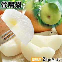 湧き出る甘い果汁 幻の 和梨 送料無料 【萱場梨 家庭用2kg前後 4-7玉 M-3L】 名人石田果樹園から産地直送! 品種お任せ 梨 訳あり 梨 幸水 豊水 二十世紀 南水 あきづき 萱場梨 かやば梨 [※産地直送のため同梱不可]