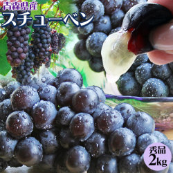 【青森県産ぶどう スチューベン2kg】(6-9房入 サイズMー2L混合)贈答用 送料無料 青森県 鶴田町産 冬のぶどう！[※常温便][※産地直送のため同梱不可]