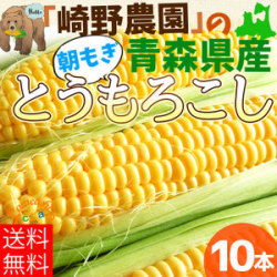 とうもろこし 送料無料 極甘フルーツコーン♪濃厚な甘さ＆プチプチ食感 【青森県産とうもろこし10本】 トウモロコシ 嶽きみ農家の崎野さんから産地直送 [※産地直送のため同梱不可][※クール便]