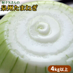たまねぎ 名人 射手矢さんが作る絶品【泉州たまねぎ 4kg以上（10～20玉）】 送料無料 驚くほどのみずみずしさと甘さ 玉ねぎ タマネギ [※大阪より直送][※他商品との同梱不可]