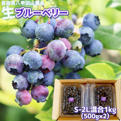 ブルーベリー 生 フレッシュ【青森県産 ブルーベリー S-2L混合1kg（500g×2）】八甲田山麓から朝摘み直送！暑い夏だからこそ食べたい、のどを潤す爽やかな甘さ！ アントシアニン たっぷり！まずは生のままお召し上がり下さい[※冷蔵便][※同梱不可]