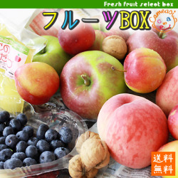 フルーツ 詰め合わせ セット 【農家お任せ旬のフルーツBOX】≪送料無料≫