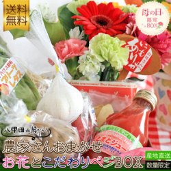 送料無料【母の日限定　お花とこだわりベジBOX】お花と旬の野菜やフルーツの詰め合わせ 農家さんおまかせ 母の日 花 ギフト プレゼント[※産地直送のため同梱不可]