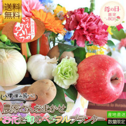 送料無料【母の日限定 お花と旬のベジフルプランター】 お花と旬の野菜やフルーツの詰め合わせ 農家さんおまかせ 母の日 花 ギフト プレゼント[※産地直送のため同梱不可]