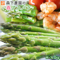 プレミアム アスパラ 数量限定 送料無料 【春アスパラ1kg（M～3L）】 生でも食べれる！ビックリするくらいに新鮮＆ジューシー♪ アスパラ屋仁左衛門 森下農園 [※産地直送のため同梱不可][※冷蔵便][※配送指定不可]