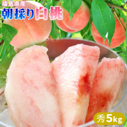 朝採り新鮮 白桃 送料無料 贈答用 秀品 新鮮便！お徳用メガ盛り 【 福島県産 白桃 秀 5kg】 （15～20玉） お中元 ギフト 白桃 もも モモ [※常温便][※同梱不可]
