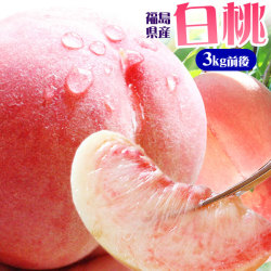 本場の 白桃 贈答用 秀品 送料無料 秀品 お徳用【福島県産 白桃 3kg前後】（9～13玉） エコファーマー ふくしま土壌ネットワーク 桃の会 農家直送 献上桃 フルーツ ピーチ もも モモ ギフト[産地直送 同梱不可]